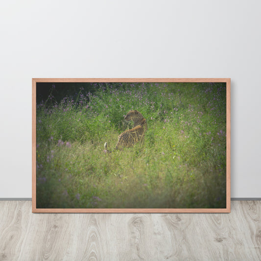 The Young Leopard - Matte Framed poster