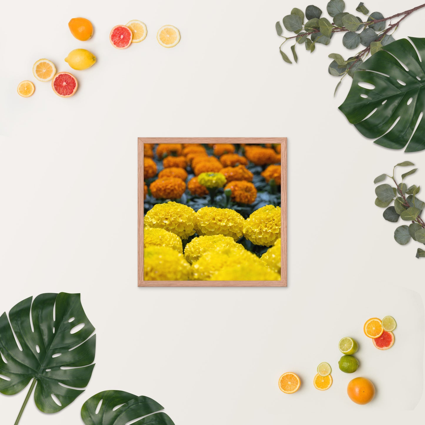 Marigold - Framed photo paper poster - Various Sizes