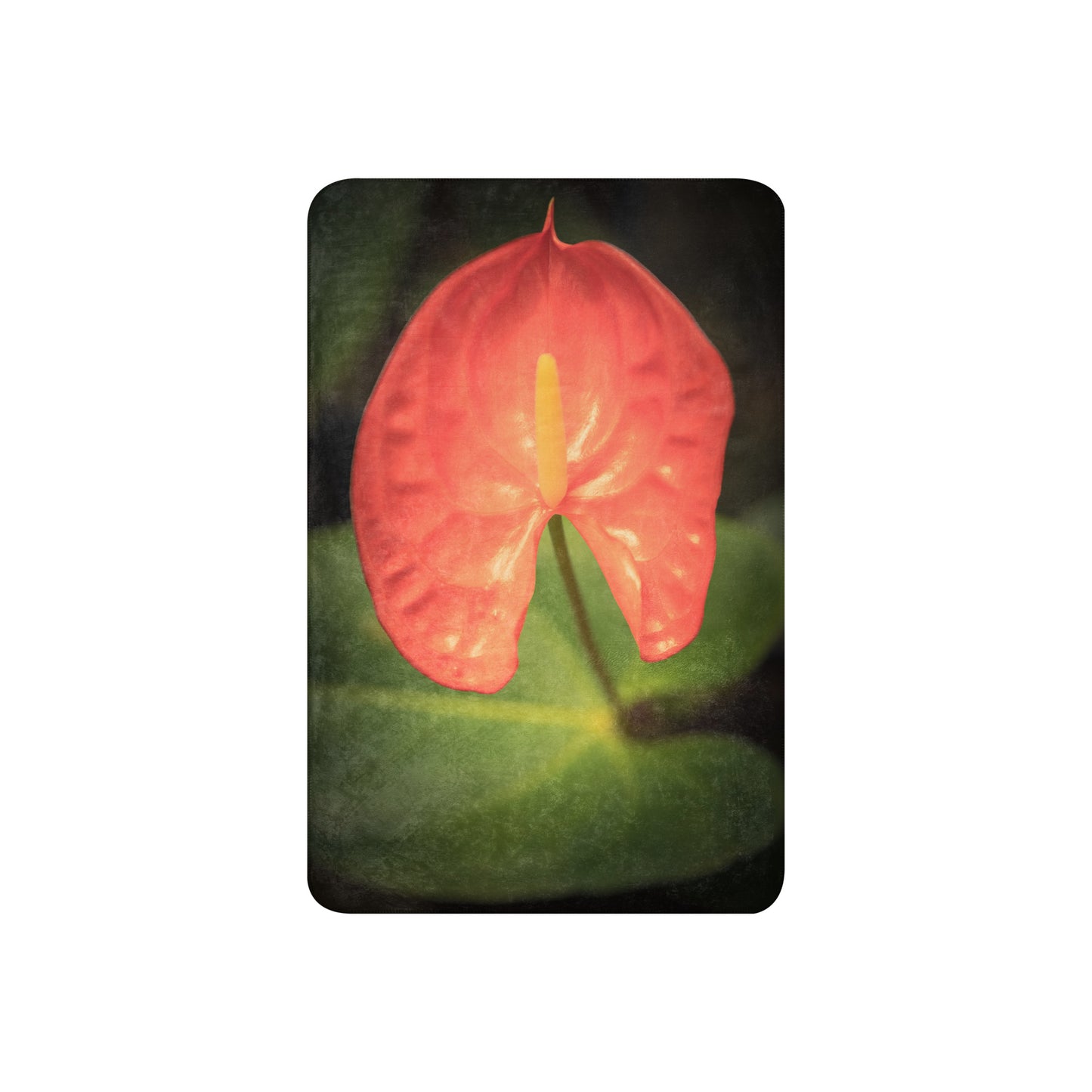 Red Anthurium Flowered Sherpa Blanket